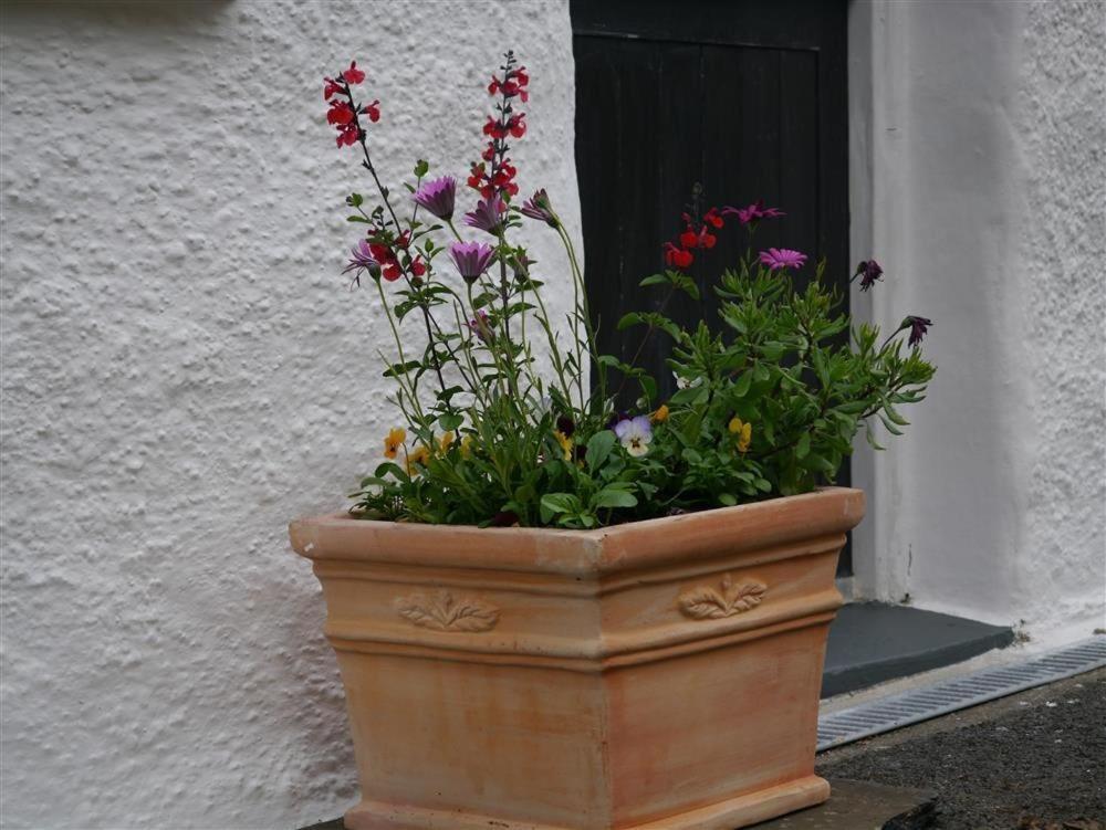 Granston Cottage ภายนอก รูปภาพ
